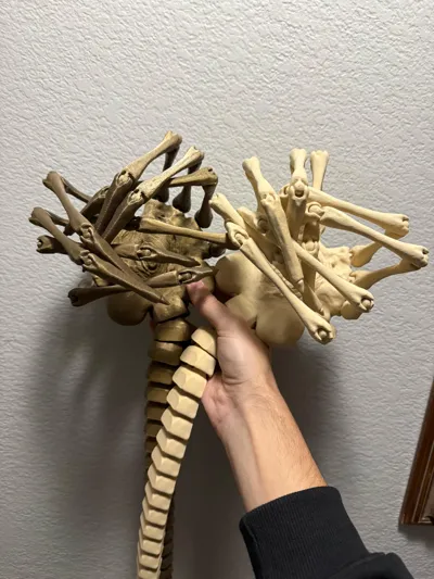 https://makerworld.bblmw.com/makerworld/comment/20260209/104752539/0f48f54265b703ee.jpg