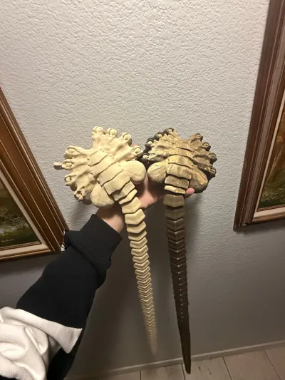 https://makerworld.bblmw.com/makerworld/comment/20260209/104752539/f45451216ca9e262.jpg