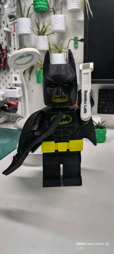 https://makerworld.bblmw.com/makerworld/comment/20260209/1268318717/e6fee18f0d7e4fcd.jpg