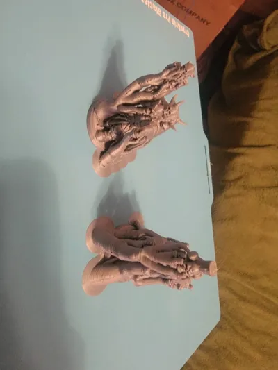 https://makerworld.bblmw.com/makerworld/comment/20260209/1283442979/b67058e9b55e39f6.jpg