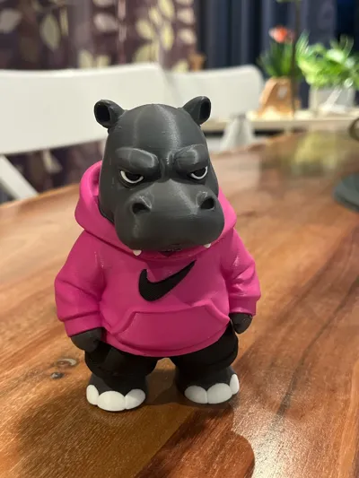 https://makerworld.bblmw.com/makerworld/comment/20260209/1329659097/1758e381c748d592.jpg