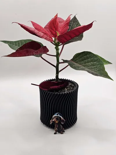 https://makerworld.bblmw.com/makerworld/comment/20260209/1345075289/143c72d3aca5ed57.jpg