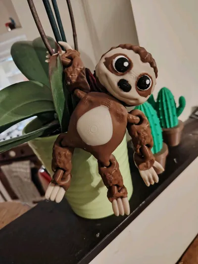 https://makerworld.bblmw.com/makerworld/comment/20260209/1374189660/c6404c4ebc7529a0.jpg