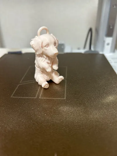 https://makerworld.bblmw.com/makerworld/comment/20260209/1551966204/4084e1f51a703254.jpg