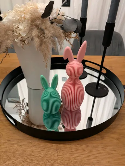 https://makerworld.bblmw.com/makerworld/comment/20260209/1632661979/c3385489d1a893a1.jpg