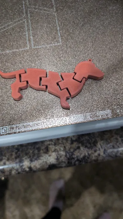 https://makerworld.bblmw.com/makerworld/comment/20260209/1768311848/dccd70343b13faf0.jpg