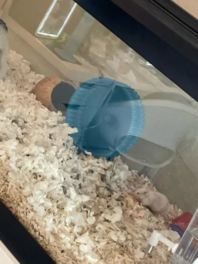 https://makerworld.bblmw.com/makerworld/comment/20260209/1825819382/ae4c0d1c6e459e97.jpg
