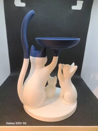 https://makerworld.bblmw.com/makerworld/comment/20260209/194078580/c8feb4a5c82ddc1e.jpg
