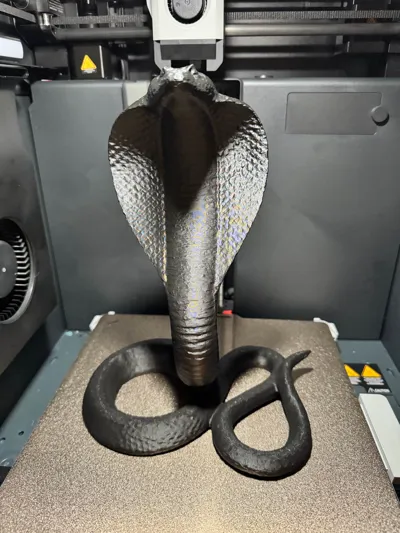 https://makerworld.bblmw.com/makerworld/comment/20260209/2115655270/8cfbc25d090b4b9a.jpg