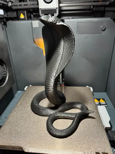 https://makerworld.bblmw.com/makerworld/comment/20260209/2115655270/b455598a74da401a.jpg