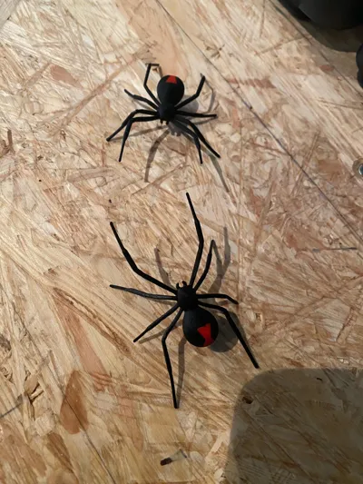 https://makerworld.bblmw.com/makerworld/comment/20260209/2391575531/3c6900cb2b525e39.jpg