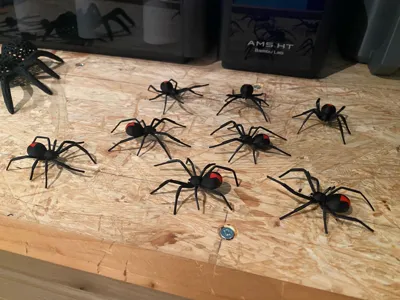 https://makerworld.bblmw.com/makerworld/comment/20260209/2391575531/99302528a2f51f6c.jpg