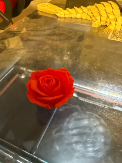 https://makerworld.bblmw.com/makerworld/comment/20260209/2516034420/3b7041c99e6ade5f.jpg