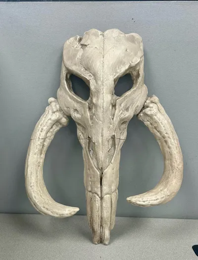 https://makerworld.bblmw.com/makerworld/comment/20260209/2698619410/42debe389fd75606.jpg