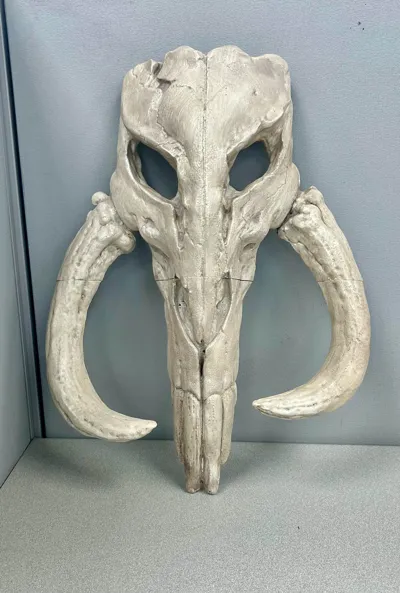 https://makerworld.bblmw.com/makerworld/comment/20260209/2698619410/c8e3a794d593ad10.jpg