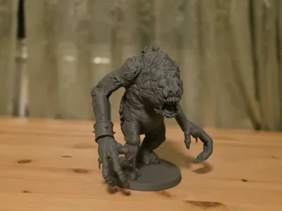 https://makerworld.bblmw.com/makerworld/comment/20260209/2755615559/b6ce4d57c7ec13e0.jpg