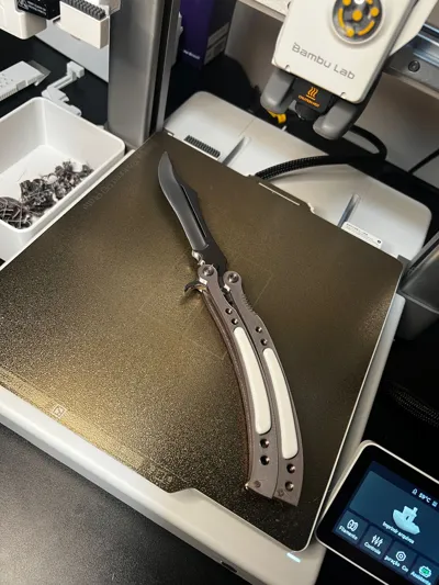 https://makerworld.bblmw.com/makerworld/comment/20260209/3892011299/45f62f67ae55fe03.jpeg