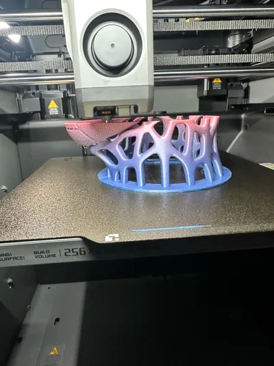 https://makerworld.bblmw.com/makerworld/comment/20260209/3921412880/695719ad15eae044.jpg