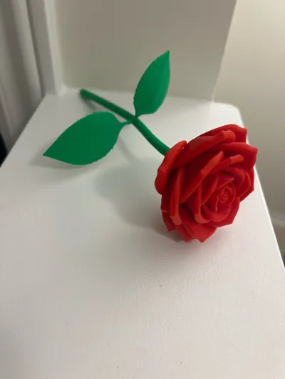 https://makerworld.bblmw.com/makerworld/comment/20260209/3968060298/4f4bf53dd6ed91a6.jpg