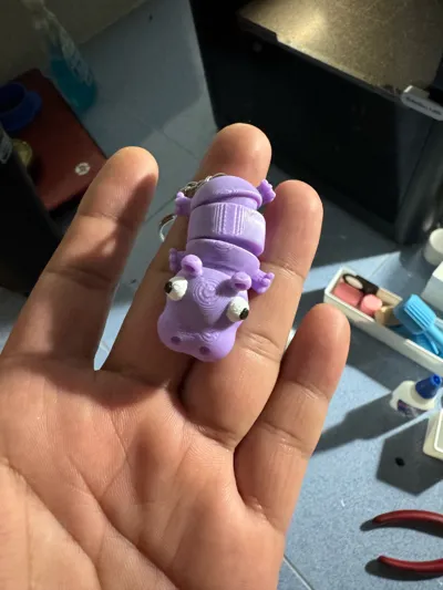 https://makerworld.bblmw.com/makerworld/comment/20260209/4056507581/a9074434439041ab.jpg