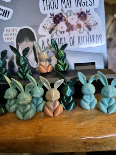 https://makerworld.bblmw.com/makerworld/comment/20260209/4172109111/f945e50867cf47cf.jpg