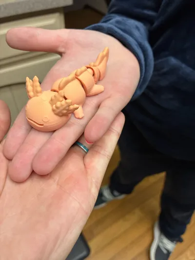 https://makerworld.bblmw.com/makerworld/comment/20260209/4194924513/1da7591ba7b1ed2e.jpg