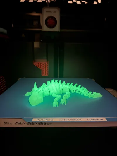 https://makerworld.bblmw.com/makerworld/comment/20260209/420082839/d61da05fa5089609.jpg
