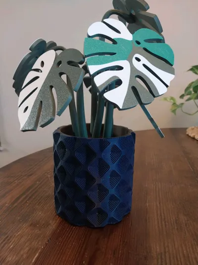 https://makerworld.bblmw.com/makerworld/comment/20260209/453776970/eac26520e4abd3fd.jpg