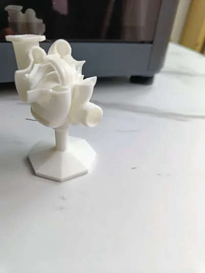 https://makerworld.bblmw.com/makerworld/comment/20260209/582484814/3573b86be9528267.jpg