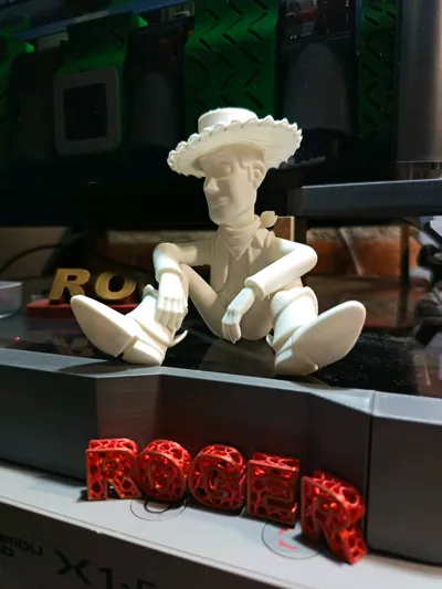 https://makerworld.bblmw.com/makerworld/comment/20260209/741527099/a1c3cb9ff50c4ac3.jpg