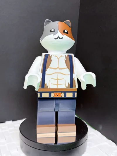 https://makerworld.bblmw.com/makerworld/comment/20260209/845106410/ca163bee74697998.jpg