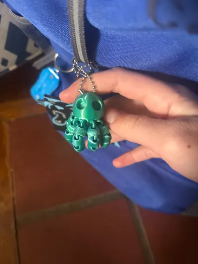 https://makerworld.bblmw.com/makerworld/comment/20260209/891742408/d683a0dbdd83443d.jpg