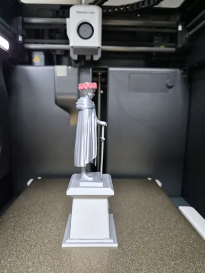 https://makerworld.bblmw.com/makerworld/comment/20260210/1001866864/61d33706d92df947.jpg