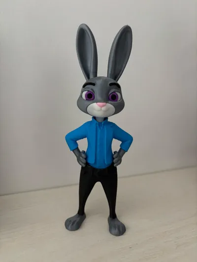https://makerworld.bblmw.com/makerworld/comment/20260210/1020971727/ba54cdd10f93e385.jpg