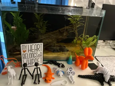 https://makerworld.bblmw.com/makerworld/comment/20260210/1042731957/19790c72992e0e37.jpg