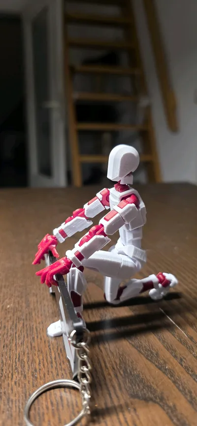 https://makerworld.bblmw.com/makerworld/comment/20260210/1138711101/14c286342a3cda29.jpg