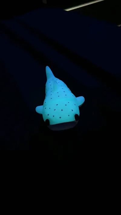https://makerworld.bblmw.com/makerworld/comment/20260210/1391353434/40936a6937ed74cc.jpg