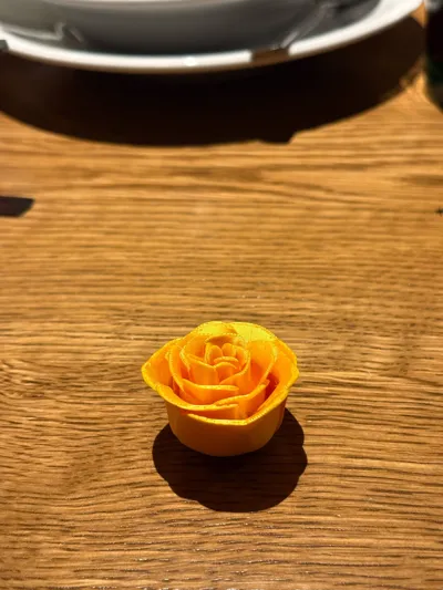 https://makerworld.bblmw.com/makerworld/comment/20260210/1437677438/dcf07163529589e1.jpg