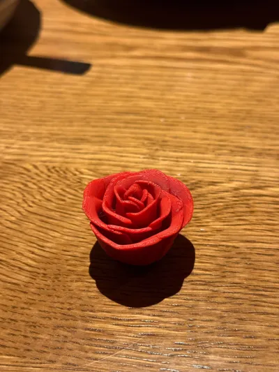 https://makerworld.bblmw.com/makerworld/comment/20260210/1437677438/df666376ac3d6b42.jpg