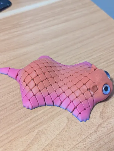https://makerworld.bblmw.com/makerworld/comment/20260210/147204270/a8f0d0cdcfcd13d3.jpg