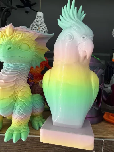 https://makerworld.bblmw.com/makerworld/comment/20260210/1520186797/286f29051522ab6f.jpg