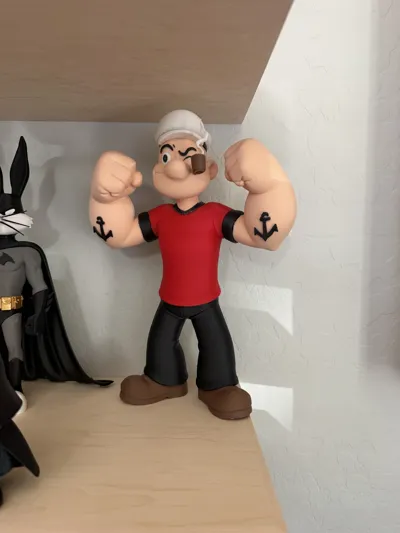 https://makerworld.bblmw.com/makerworld/comment/20260210/1687194467/6e0898438ac766ba.jpg