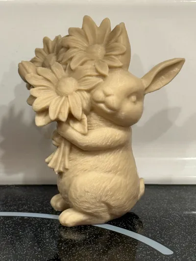 https://makerworld.bblmw.com/makerworld/comment/20260210/1812885234/52802c93f0b16dbb.jpg