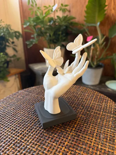 https://makerworld.bblmw.com/makerworld/comment/20260210/1823590460/5eb8005c103701d2.jpg