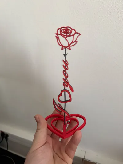 https://makerworld.bblmw.com/makerworld/comment/20260210/1919573471/e31237d436b66384.jpg