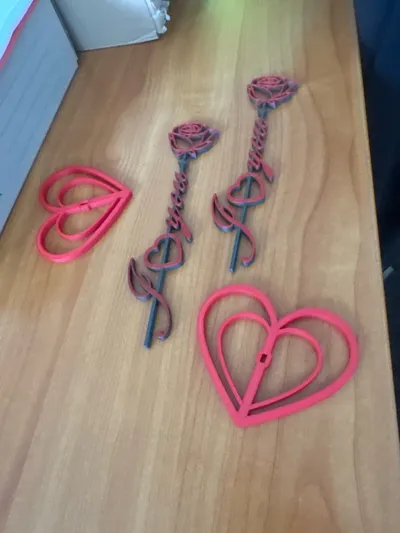 https://makerworld.bblmw.com/makerworld/comment/20260210/1919573471/e9210c404b7aab49.jpg
