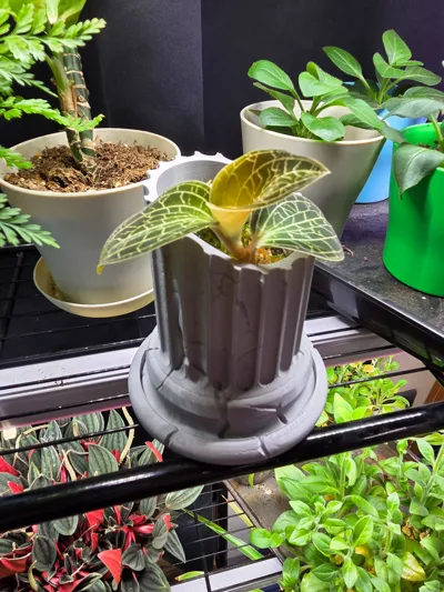 https://makerworld.bblmw.com/makerworld/comment/20260210/2025274611/0671f97d0f77eab8.png