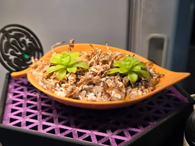https://makerworld.bblmw.com/makerworld/comment/20260210/2025274611/222c95ff43b058eb.png