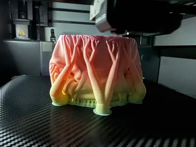 https://makerworld.bblmw.com/makerworld/comment/20260210/2213562895/91dc98fd4acc5e6e.jpg