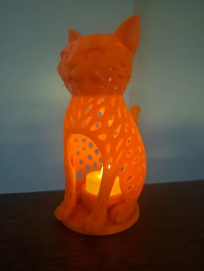 https://makerworld.bblmw.com/makerworld/comment/20260210/2749763076/e5b28193bf68dcf0.jpg